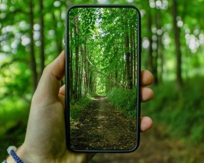 Biodegradable Phone Cases