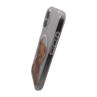 Teddy Bear MagSafe Case for iPhone 17 Series
