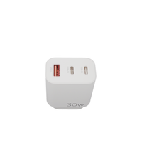 Oscar GaN 30W CCA Wall Charger White