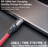 100W USB Type-C Fast Charging Premium Cable 1M [Online Exclusive]