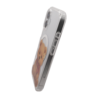 Teddy Bear magsafe Case for iPhone 17 Series
